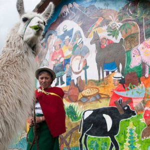 salud-niños-ecuatorianos