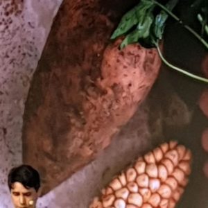 WhatsApp-Image-2019-03-25-at-02.07.25