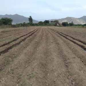 afectacion en poligonal de caral