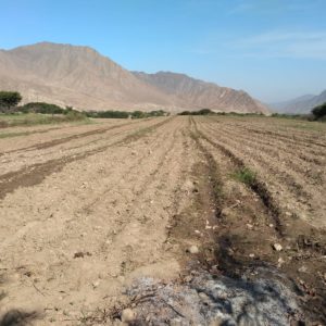 poligonal de caral