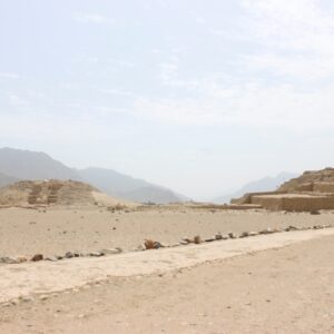 camino personas con discapacidad