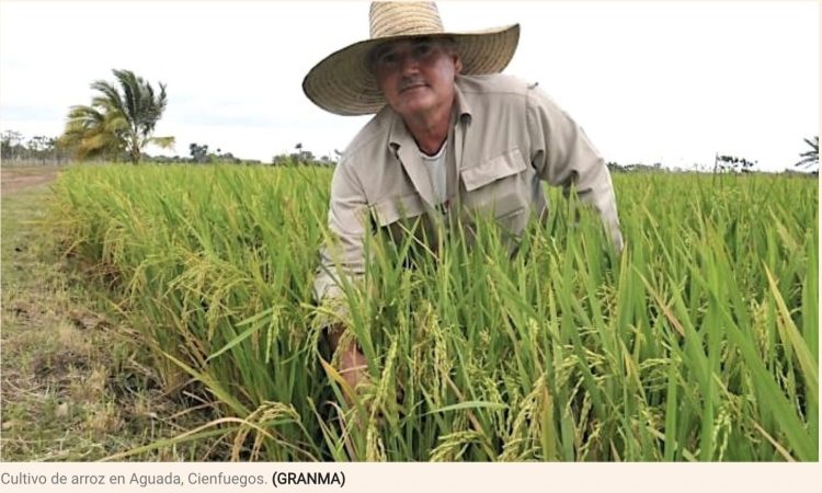 Captura de pantalla 2025-09-21 a la(s) 16.54.36