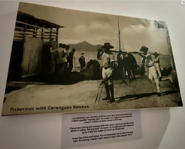 Orden en medio del Océano Índico