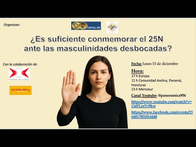 Invitación Lunes 15 horas 17.00 de la UE ¿Es suficiente una conmemoración cada 25N?