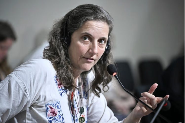 UE desplegará una Misión de Observación Electoral a Perú