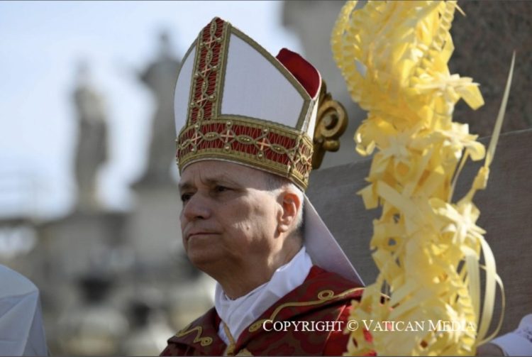 Homilía de SS Padre León XIV