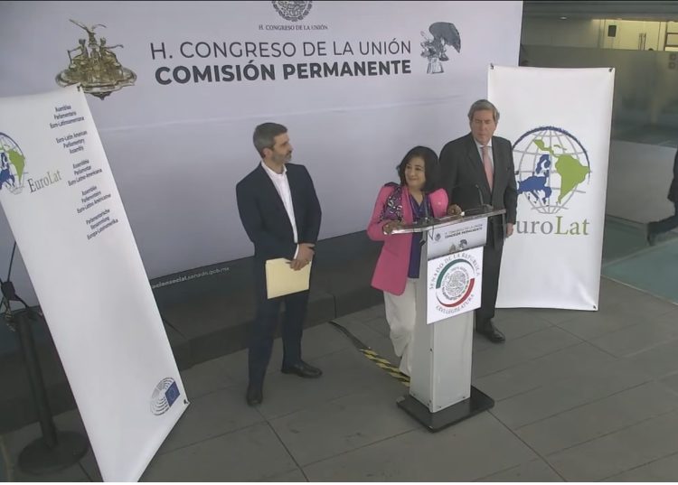 Comunicado de los Copresidentes en la XX Aniversario de la Asamblea EUROLAT