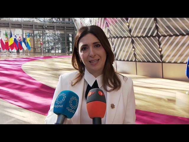 Dentro de dos años entrara en vigor la Directiva «Derecho al Voto»