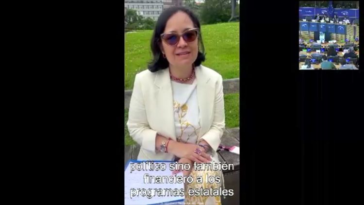 Andrea Bolaños Vargas, Relatora Especial de la ONU sobre los Defensores de los Derechos Humanos
