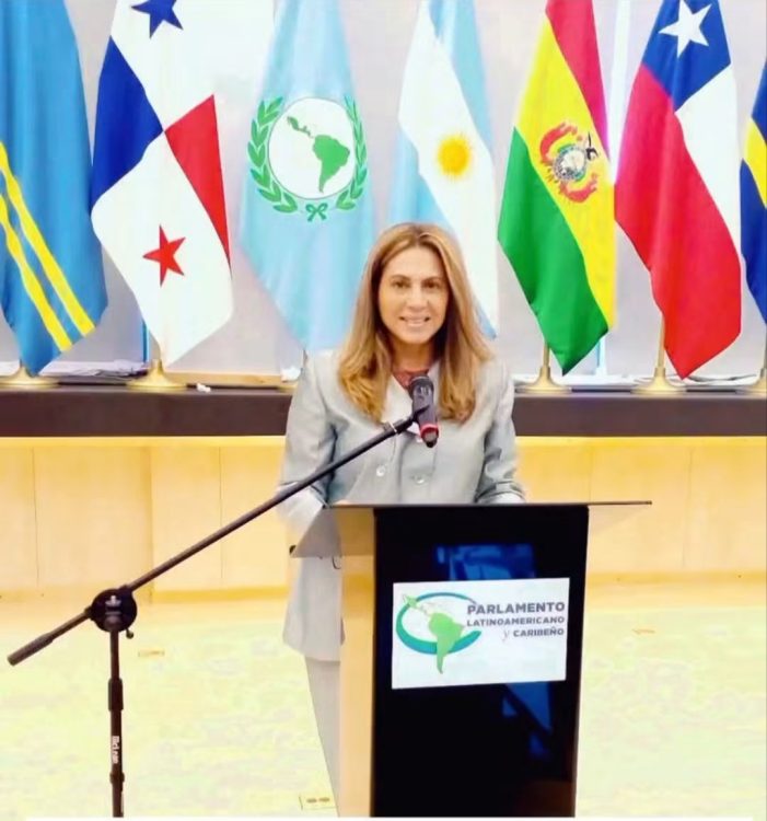 Cultura de Paz por Rosemarie Acosta
